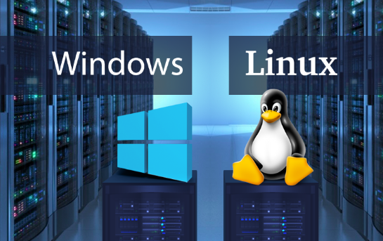 637dc5b8bbf1c.png 云服務器用windows還是linux?.png