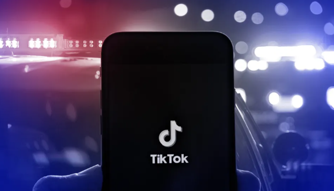 653770471bb7c.png 租用美國tiktok專線有何優勢?.png